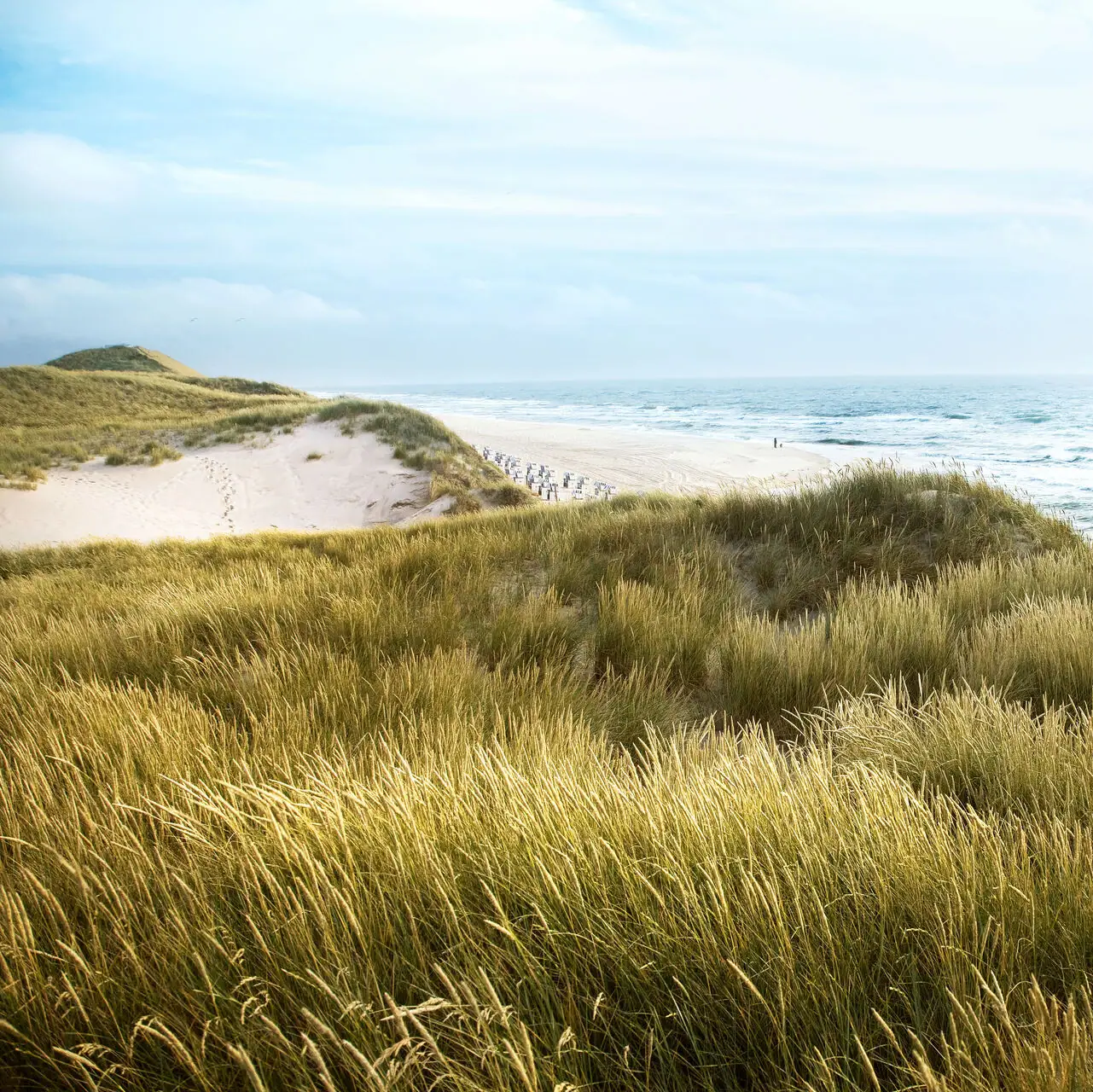 Collina erbosa con dune di sabbia e spiaggia.